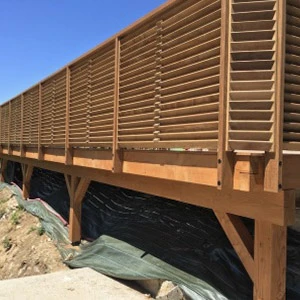 Jardin résidentiel avec abri de jardin contemporain équipé d'un auvent latéral